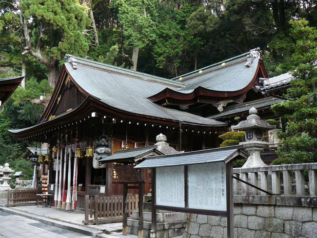 �ߍ]�����s�E�����甪���{