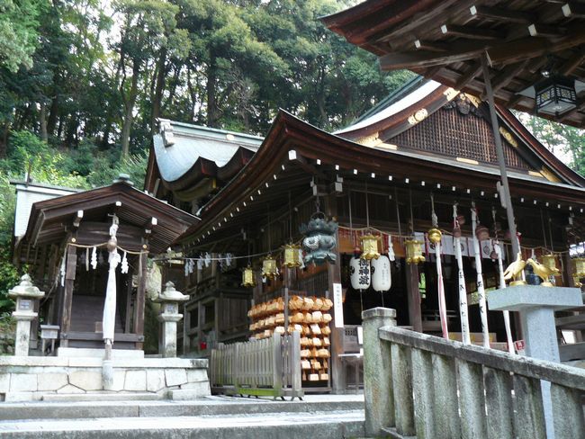 �ߍ]�����s�E�����甪���{