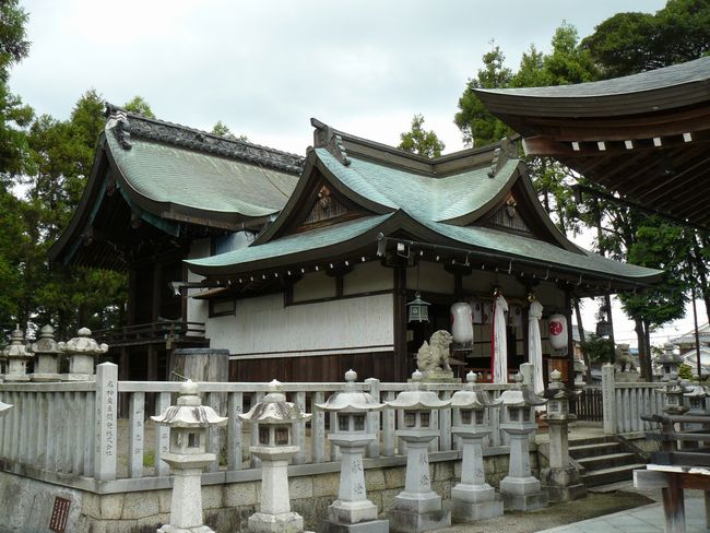 ���c�_��