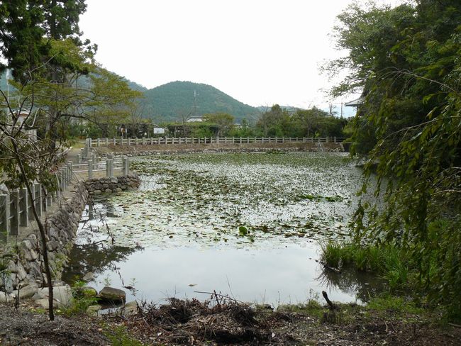 �ߍ]�����s�E�哇�E���Ó��_��