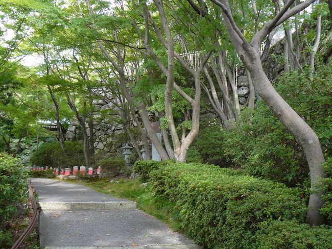 �ߍ]�����s�E������