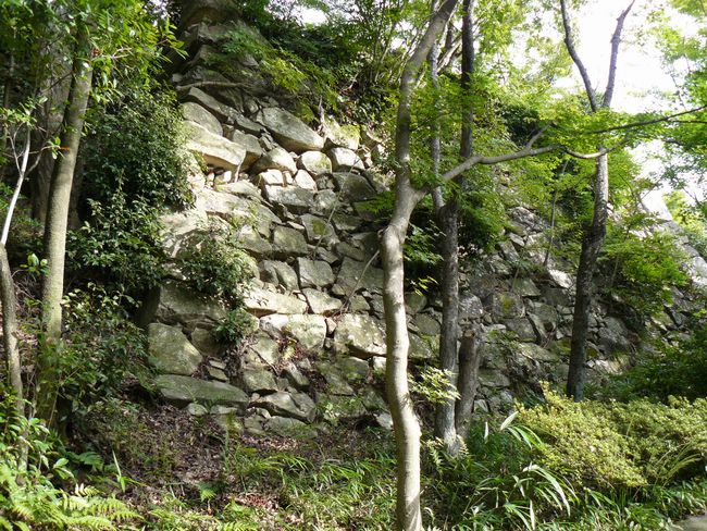 �ߍ]�����s�E������