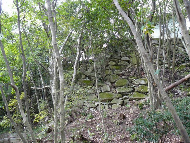 �ߍ]�����s�E������