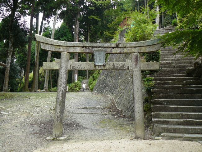 �ߍ]�����s�E������