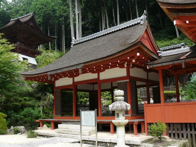 �ߍ]�����s�E������