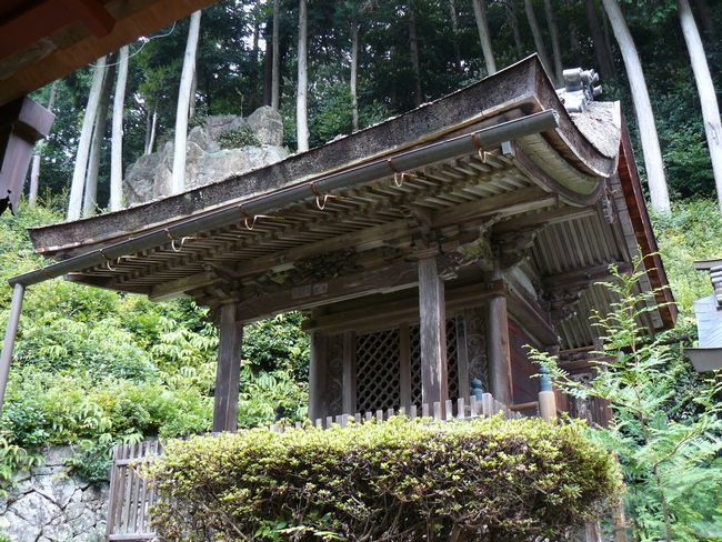 �ߍ]�����s�E������