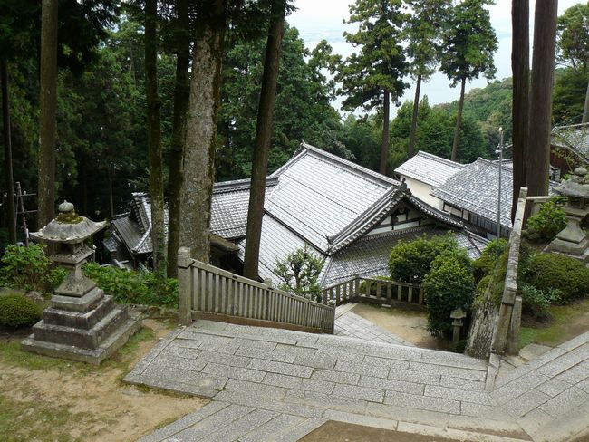 �ߍ]�����s�E������