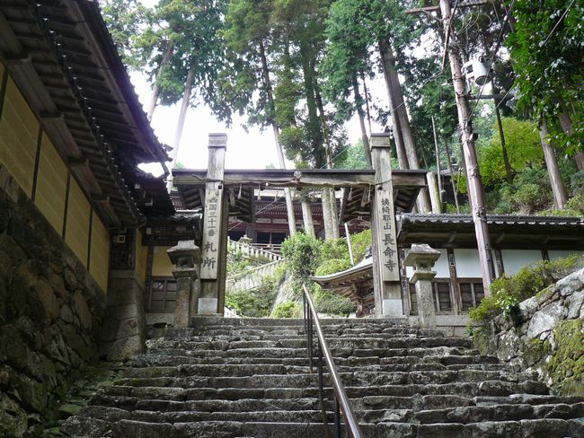 �ߍ]�����s�E������