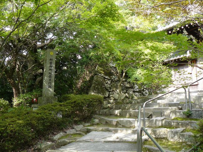 �ߍ]�����s�E������