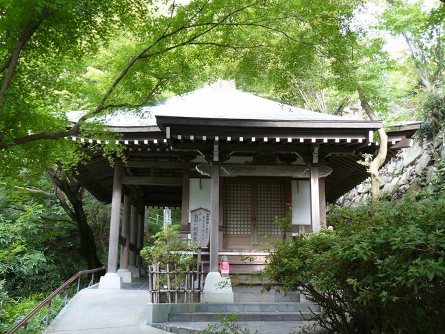 �ߍ]�����s�E������