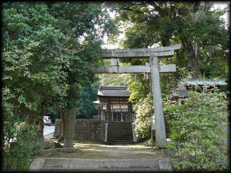 �t���_��