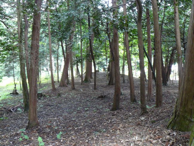 ���c���Õ��Q