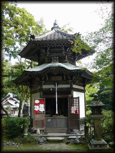 �Z�p�n����