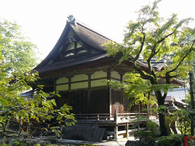 ��Îs��{�E���䓰