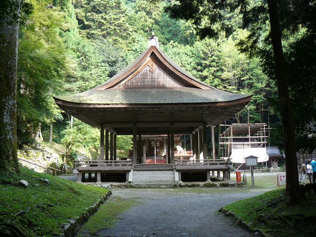 ���g��ЁE���R�P�_�Дq�a