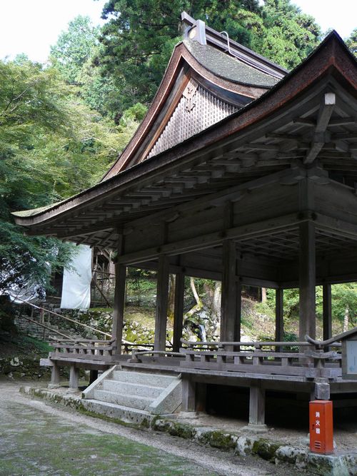 ���g��ЁE���R�P�_�Дq�a