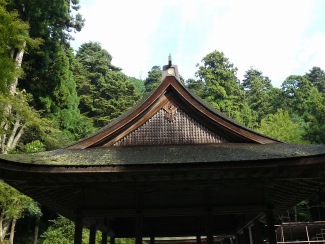 ���g��ЁE���R�P�_�Дq�a