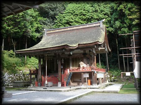 ���g��ЁE���R�P�_�Ж{�a