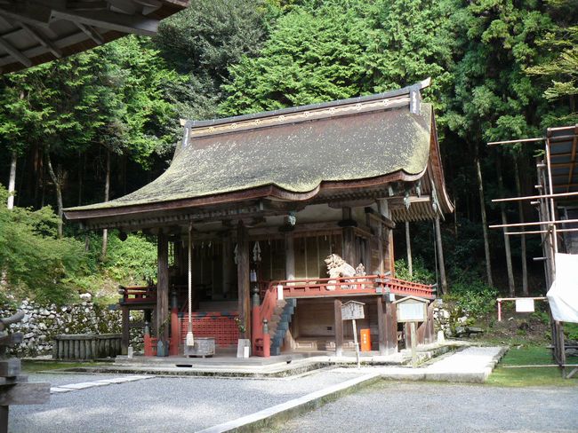 ���g��ЁE���R�P�_�Ж{�a