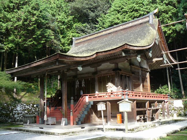 ���g��ЁE���R�P�_�Ж{�a