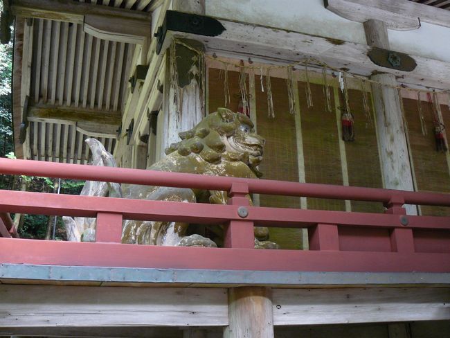 ���g��ЁE���R�P�_�Ж{�a