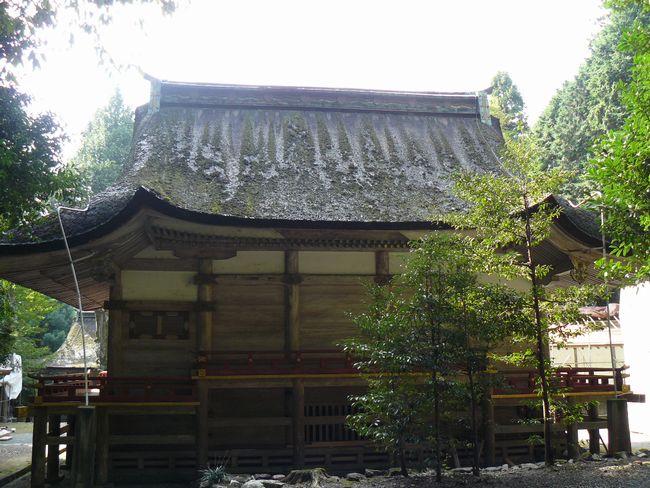 ���g��ЁE���{�{�{�a