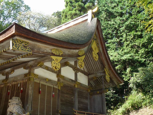 ���g��ЁE�����_�Ж{�a