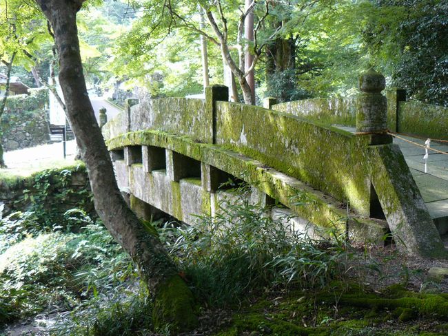 ���g��ЁE��{��