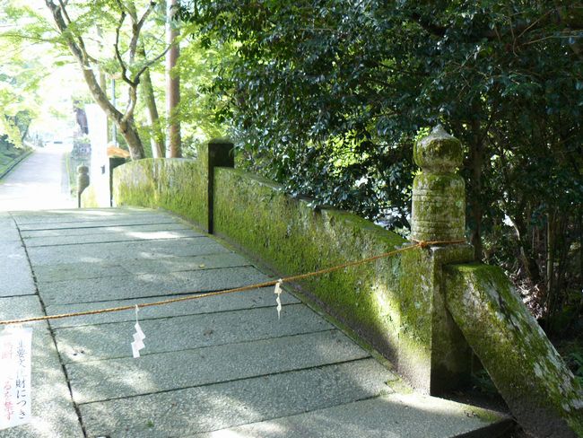 ���g��ЁE��{��