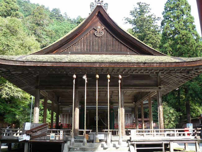 ���g��ЁE���{�{�q�a