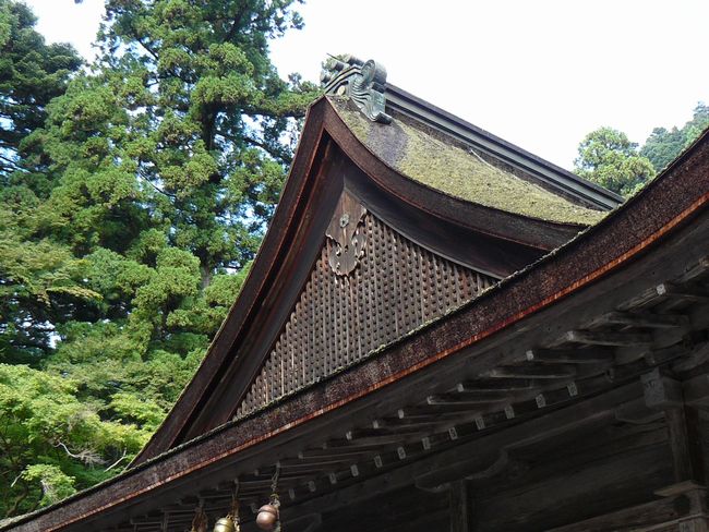 ���g��ЁE���{�{�q�a