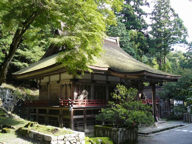 ���g��ЁE�F���{�{�a