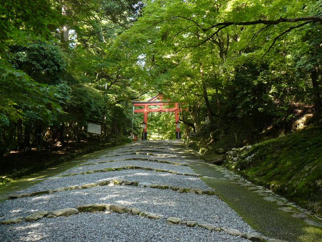 ���g��ЁE�啨���_��