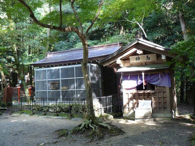 ���g��ЁE�啨���_��