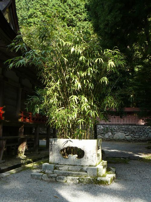 ���g��ЁE�啨���_��