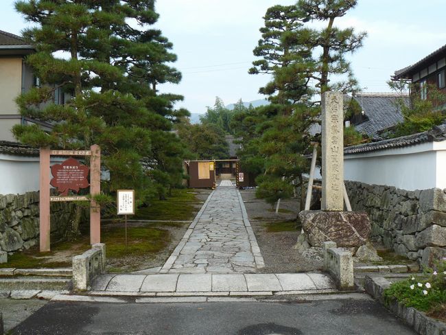 ��Îs��{�E���O���}��