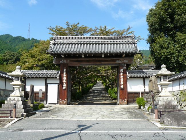 ��Îs��{�E������