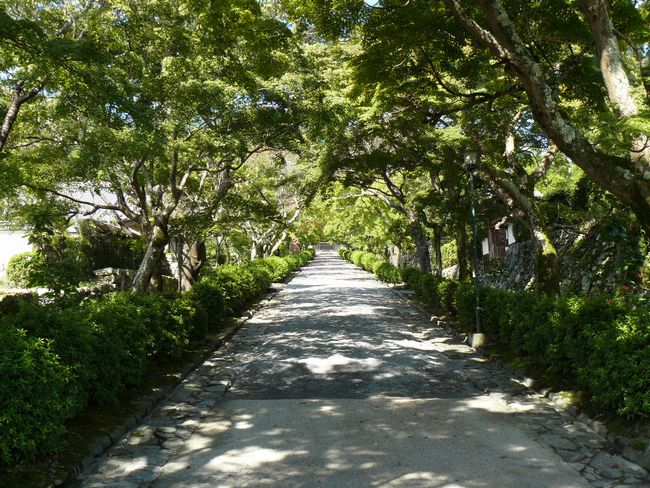 ��Îs��{�E������