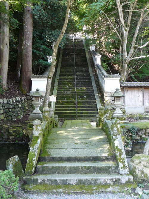 ��Îs��{�E������