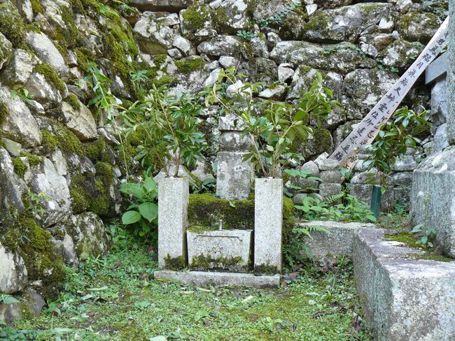 ��Îs��{�E������