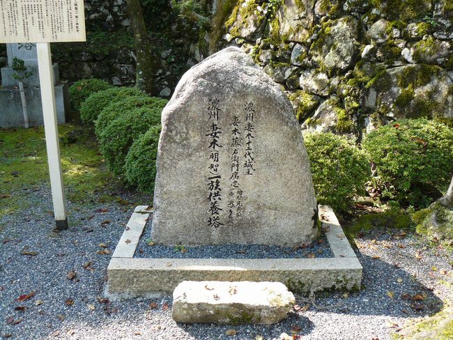 ��Îs��{�E������