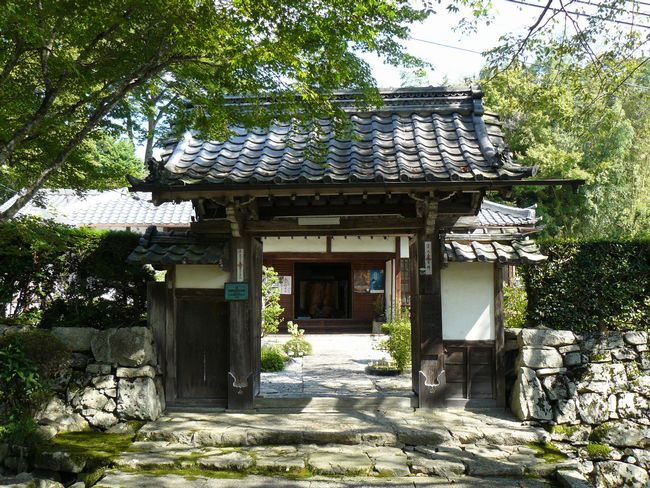 ��Îs��{�E������