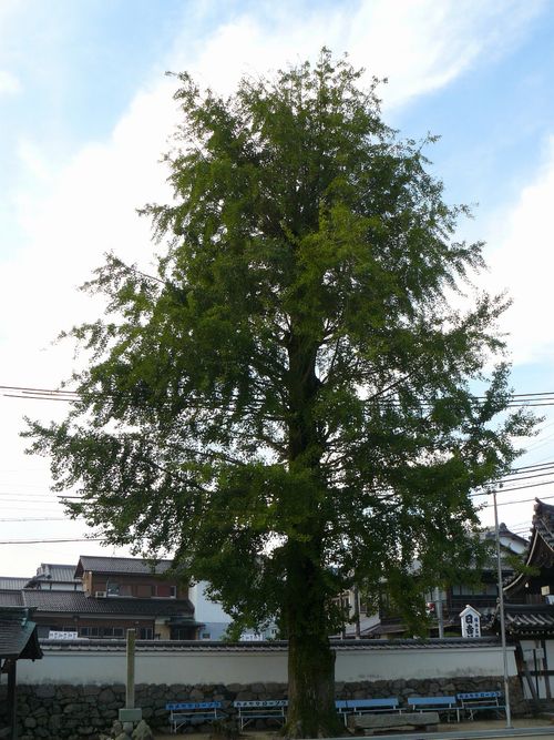 ��Îs��{�E������