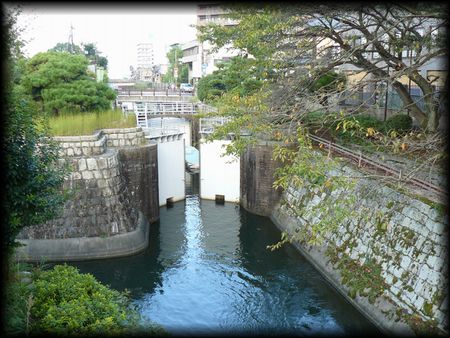 ���i�Α`���E�ʐ^