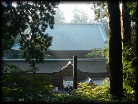 ��b�R�E�ʐ^