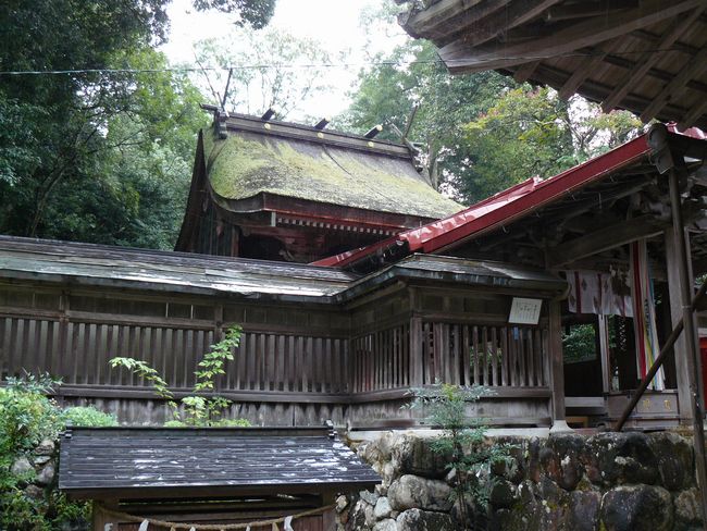 ���꒬�E���_��