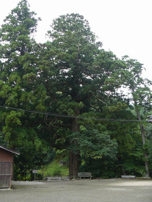 ���꒬�E���_��