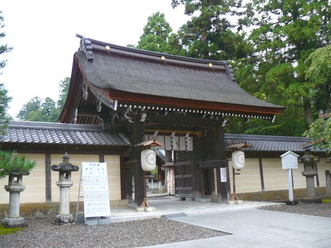 ���꒬�E������