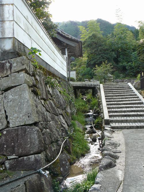 �����s�E�~����