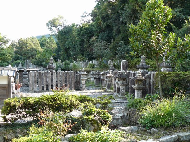 �����s�E�~����